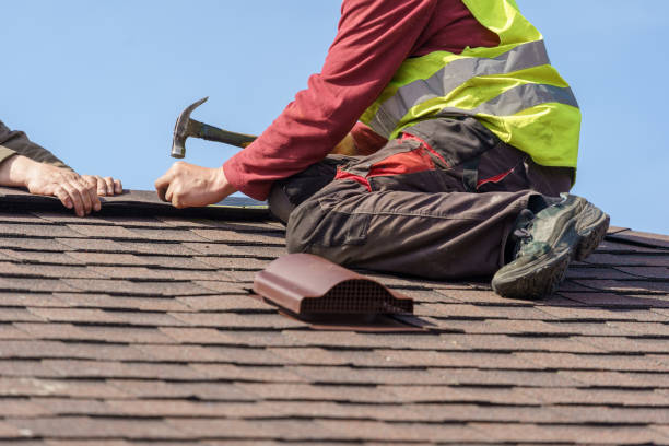 Best Roof Repair Services  in Mound Bayou, MS