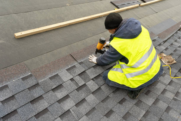 Best Roof Gutter Cleaning  in Mound Bayou, MS