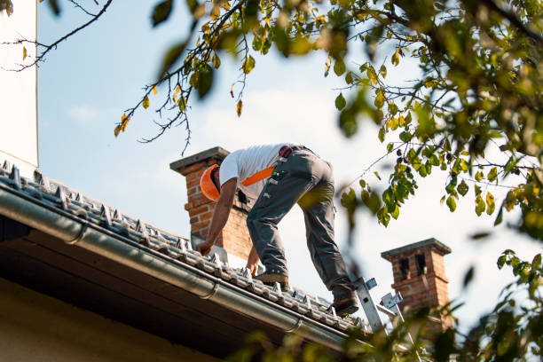Best Roof Waterproofing Services  in Mound Bayou, MS