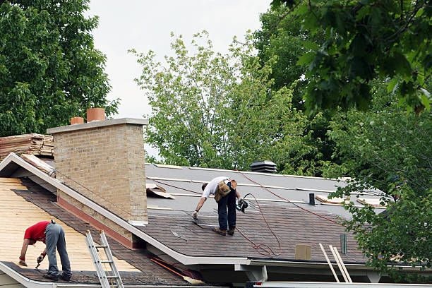 Best Roof Maintenance Services  in Mound Bayou, MS